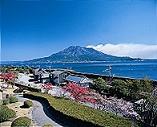 Kagoshima